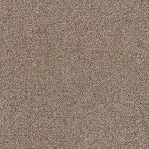 Lounge - LZEO.500.0434 0434 LEHM 5-Meter Breit Teppichboden