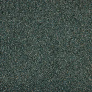 Odina - LODI.500.0690 0690 FICHTE 5-Meter Breit Teppichboden