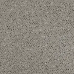 Pilotis - LSQS.400.0862 862 GRANITE 4-Meter Breit Teppichboden