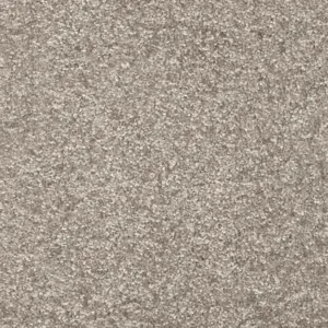 Dorado, Gaia - FDRADTA49500P 49 5-Meter Breit Teppichboden