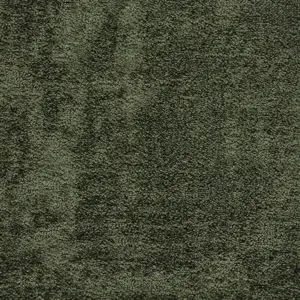 Basalt Art X - LBAS.400.0590 0590 MOSS 4-Meter Breit Teppichboden