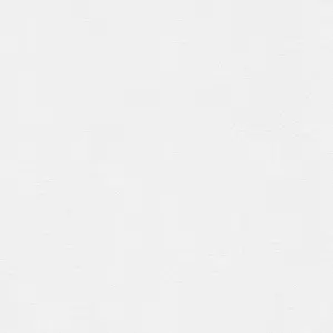 Black & White - 190918 Vliestapete