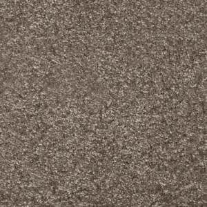 Dorado, Gaia - FDRADTA40400P 40 4-Meter Breit Teppichboden