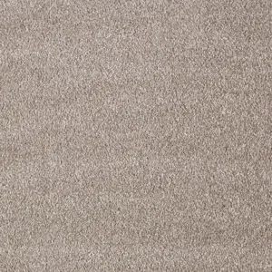 Secret New, Sensualite - FSNEWTA49400P 49 4-Meter Breit Teppichboden