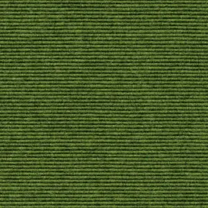 Ever - 1010114569 569 - Moos 2-Meter Breit Teppichboden