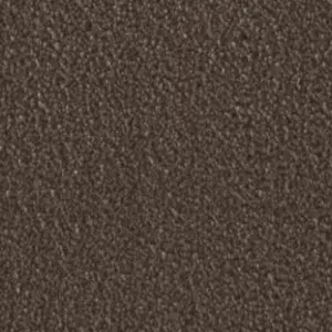 Fascination, Amelie - 103761A400 7H55 4-Meter Breit Teppichboden