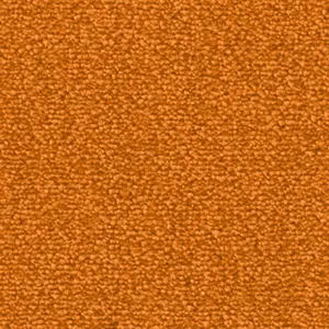 Fascination, Lyrica - 103615A500 1P95 5-Meter Breit Teppichboden