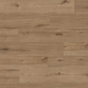 Friends - 1188210101 Eiche Thomas Vinylboden zum Kleben