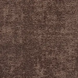 X Wohnen - LBAS.400.0400 0400 COFFEE 4-Meter Breit Teppichboden