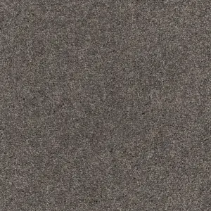 SmartStrand - LZEO.500.0834 0834 GRAU 5-Meter Breit Teppichboden