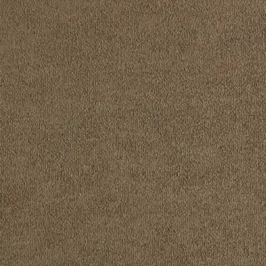 SmartStrand - LUSO.400.0210 0210 TABAK 4-Meter Breit Teppichboden