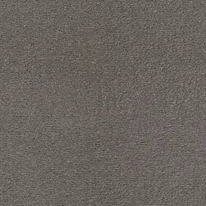 SmartStrand - LURO.400.0831 0831 GRAU 4-Meter Breit Teppichboden