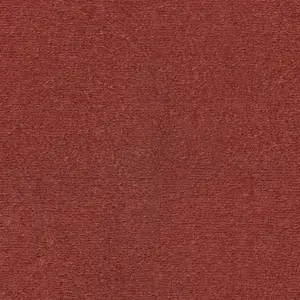 SmartStrand - LURO.400.0121 0121 KORALLE 4-Meter Breit Teppichboden