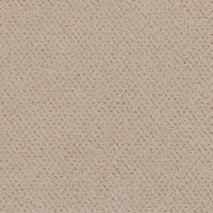 Pilotis - LSQS.400.0452 452 SAND 4-Meter Breit Teppichboden