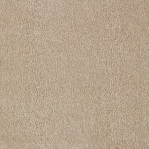 Obsession, Sensualite - FOBSETA36500P 36 5-Meter Breit Teppichboden