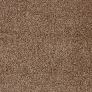 Seduction, Sensualite - FSESUTA46500P 46 5-Meter Breit Teppichboden
