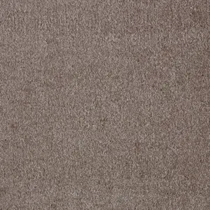Sensation New, Sensualite - FSSNWTA44500P 44 5-Meter Breit Teppichboden