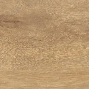 Tritty 100 Gran Via, Tritty 100 Gran Via 4V - 541520 Eiche Veneto natur