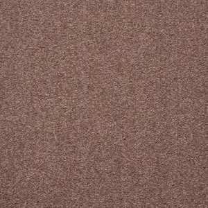 X Wohnen - LTRV.400.0420 0420 BIBER 4-Meter Breit Teppichboden