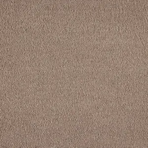X Wohnen - LBOU.500.0260 0260 BEIGE 5-Meter Breit Teppichboden
