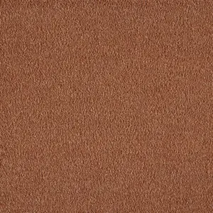 X Wohnen - LBOU.500.0310 0310 ROST 5-Meter Breit Teppichboden