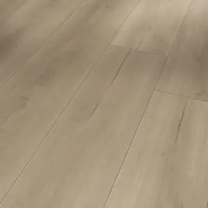 Trendtime 6 - 1730467 Eiche Loft grau Lebhafte Struktur 4V