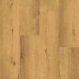 Cortica Design-Korkboden HDF - 020744338 Eiche Tessin Korkboden zum Klicken