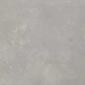 Primetex - 15482064 LEONE CLEAR 4-Meter Breit PVC-Boden