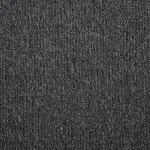 Medusa, Maverick Wall to Wall - FMDSATA99400P 99 4-Meter Breit Teppichboden