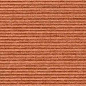 Interland - 1010110591 591 - Lachs 2-Meter Breit Teppichboden