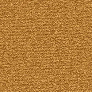 Fascination, Lyrica - 101370A500 2F33 5-Meter Breit Teppichboden