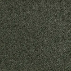 Patina - LUTO.400.0590 0590 MOOS 4-Meter Breit Teppichboden