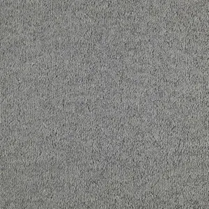 SmartStrand - LZEO.500.0841 0841 DOLPHIN 5-Meter Breit Teppichboden