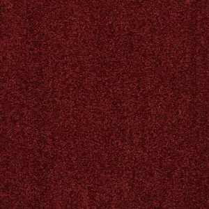 X Wohnen - LTRV.500.0110 0110 KARMIN 5-Meter Breit Teppichboden