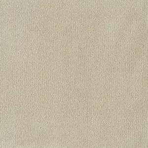 X Wohnen - LPLE.500.0260 0260 CAMEL 5-Meter Breit Teppichboden
