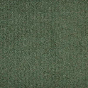 X Wohnen - LODI.400.0610 0610 EFEU 4-Meter Breit Teppichboden