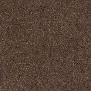 Pilotis - LSQS.400.0282 282 HAVANNA 4-Meter Breit Teppichboden